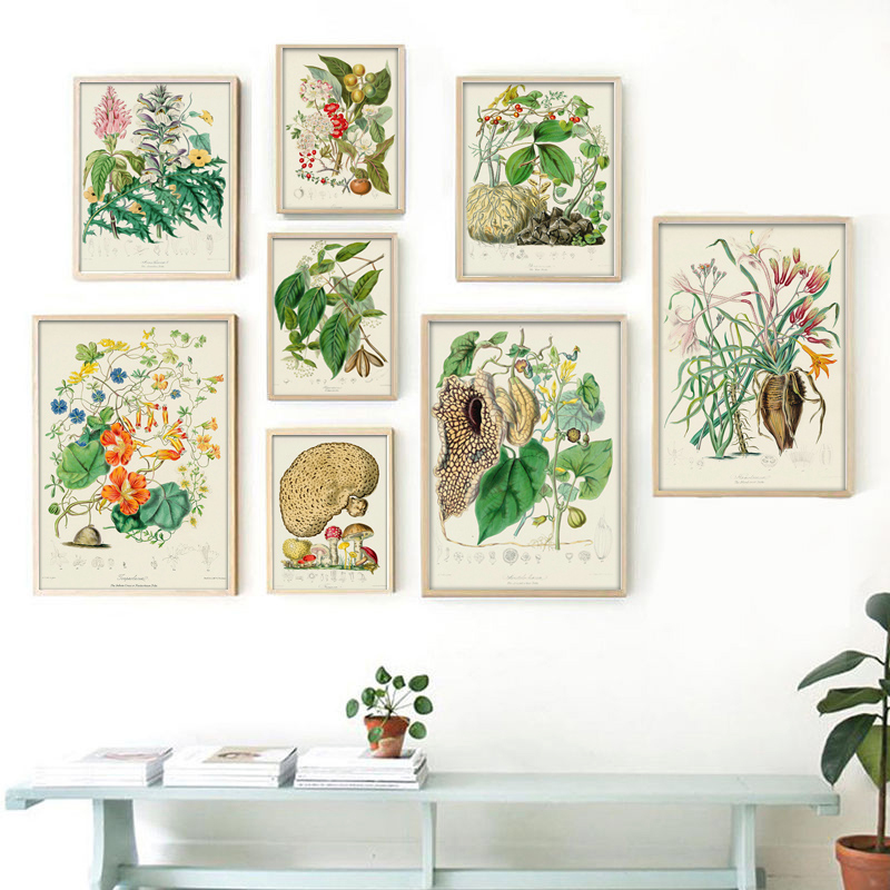 Vintage Collectible Posters - Collezione botanica: poster e stampe vintage,