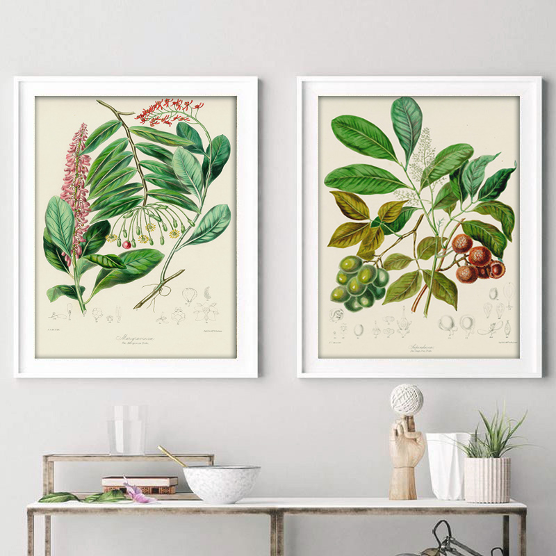 Collezione botanica: poster e  - Vintage Collectible Posters recensione e prezzo