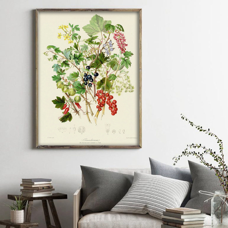 Collezione botanica: poster e  - Vintage Collectible Posters recensione e prezzo